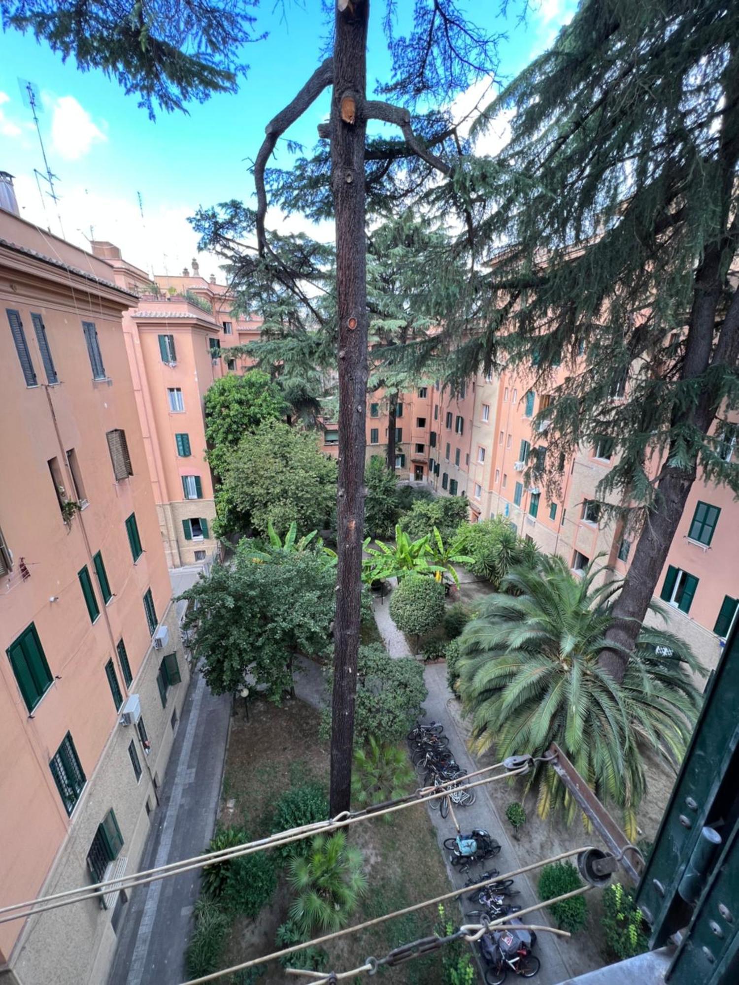 Enjoy Vatican Holiday In Roma Exterior foto